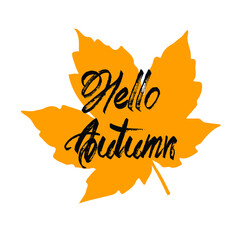 Hello Autumn, flat autumn leaves, autumn social media banner, vector seasonal illustration