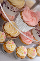 Cupcakes on a stand in the shape of a big cake for a Wedding reception