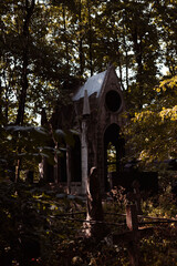 autumn at the cemetery 