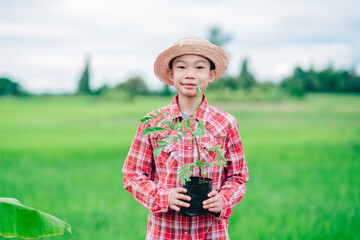 Kids holding seeding of tree for planting the tree in organic garden farmland of agriculture in rural