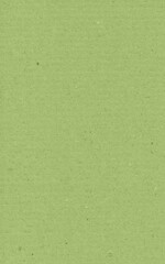 Obraz premium green paper texture
