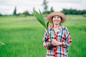 Women gardener holding seeding of coconut palm tree for planting in organic garden