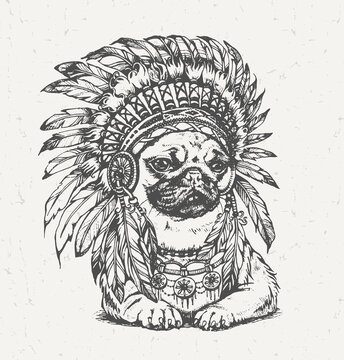 recommend clip art: Pug Wearing Indian Chief Headdress with Feathers (Roach). Vector Illustration.
                    