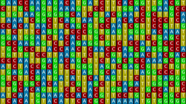 Loopable: DNA genetic matching and analysis abstract background with square color-coded DNA components A, T, G, C. Genomic data processing concept.