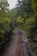 Fototapeta premium Rural Wooded Railway