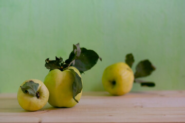 Antonovka apple harvest still life. Late-fall apples on wooden table