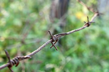 Rusty, barbed wire creates a barrier to movement. Restrictions on movement.