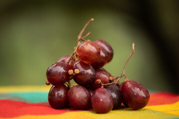 Organic mountain grapes, homemade bread and apples from the Sierra de Sinaloa