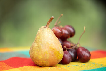 Organic mountain grapes, homemade bread and apples from the Sierra de Sinaloa