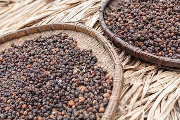 seeds on wooden spoon. Selected focus