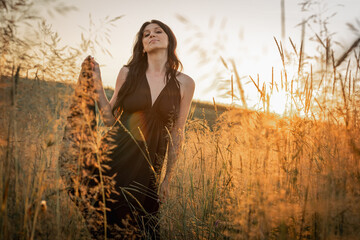 Obraz premium Sunset, soft golden evening colors, young, beautiful, emotional brunette girl with long hair in a black long dress on a golden wheat field. Cosiness of soul, joy, nature