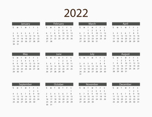 2022 year, calendar. Vector illustration. Weeks start on Sunday.