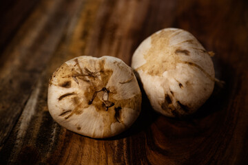 monantaña mushroom to cook delicious healthy food tacos