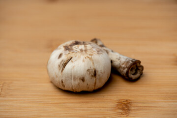 monantaña mushroom to cook delicious healthy food tacos