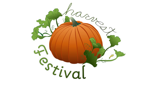 Harvest Festival pumpkin
