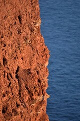 Red cliff at the costline in the evening sun