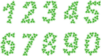Arabic numerals from triple green cannabis leaves isolated. Medical marijuana. Hemp green leaf logo.