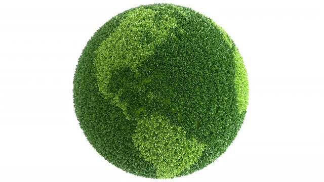 Green Planet. 3d planet earth rotating covered with plants. 