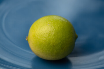 Organic lemon from the Sierra de Sinaloa in the summer harvested in the Rio Sinaloa Mexico