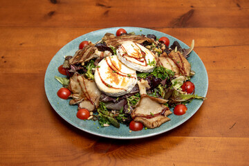 Goat cheese salad, thistle mushrooms, cherry tomatoes, seeds, oak lettuce and balsamic vinegar with olive oil