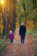 Fototapeta premium Mother and daughter walk along the forest road on an autumn day. The bright sun shines through the foliage of the trees. Dry leaves fall from trees, autumn