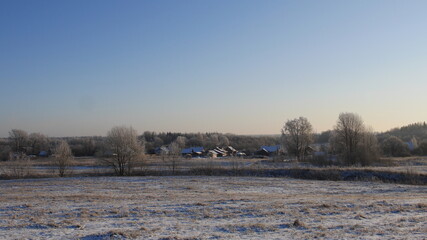 Foggy fields and bushes in front of the forest before the sunrise in the country side. Village life in North-West Russia