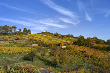 Autumnal scenery showing the St. Remigius Chapel (Wurmlingen Chapel) on the top of a yellow-colored vineyard under a partly-cloudy sky.