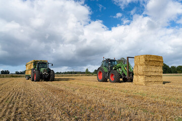 Obraz premium Strohernte - Traktor mit Frontlader beim Beladen eines Transportanhängers mit Strohballen.