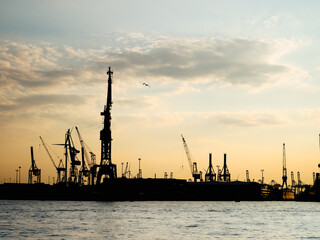 Obraz premium Hamburg harbor sunset