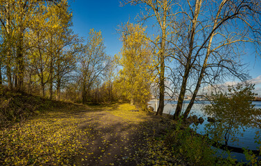 Golden Autumn on the banks of the Neva River in St. Petersburg.