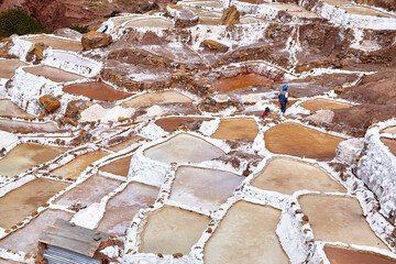 Sal de Cuzco