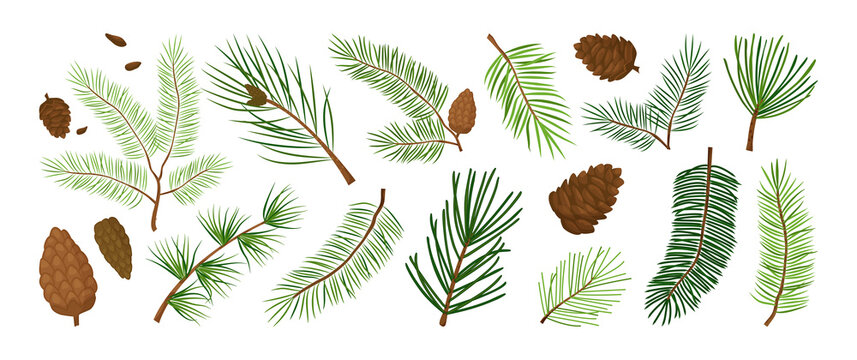 252,123 BEST Forest Background Cartoon IMAGES, STOCK PHOTOS & VECTORS