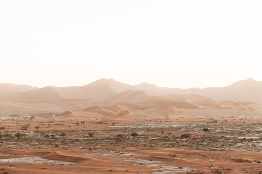 Orange sand dunes and clear sky in Namib desert at Namib-Naukluft National Park of Namibia, Africa. Landscape photography