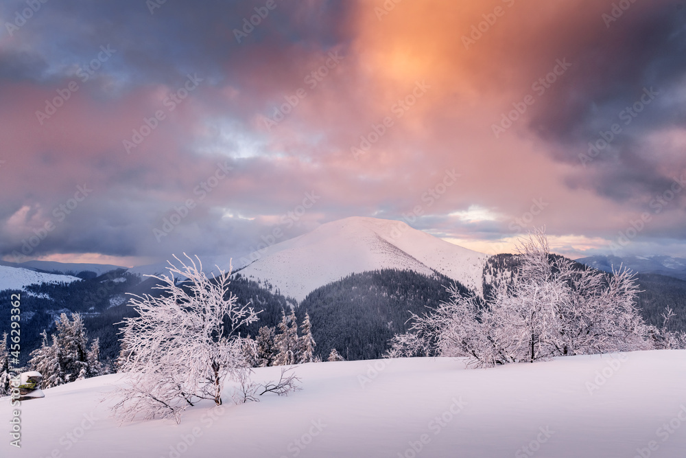 Wall mural fantastic winter landscape in snowy mountains glowing by evening sunlight. dramatic wintry scene wit