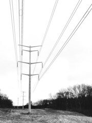 power lines