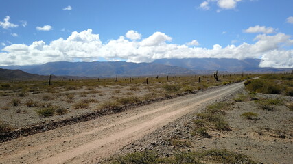 Los Cardones National Park desert with cacti and mountains (Profile D-Log)