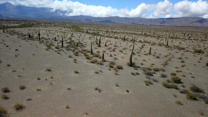 Los Cardones National Park desert with cacti and mountains (Profile D-Log)