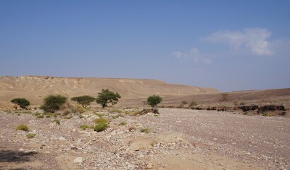 Hiking in Nahal Shani, South Israel