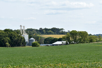 Soybeans and farm field