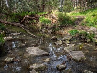 Stepping Stones