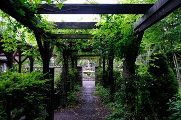 植物園のアーチ