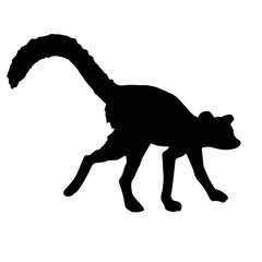 Vector hand drawn lemur silhouette isolated on white background