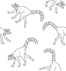 Vector seamless pattern of hand drawn doodle sketch lemur isolated on white background © Sweta
