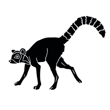 Vector hand drawn doodle sketch black lemur isolated on white background