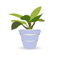 vector illustration of a cartoon plant in a pot. isolated white background