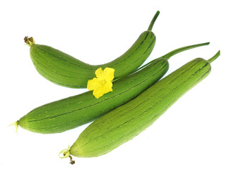 fresh picked luffa isolated on white background
