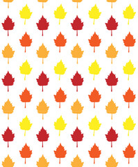 Vector seamless pattern of different color hand drawn doodle sketch autumn leaves isolated on white background