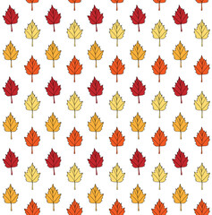 Vector seamless pattern of different color hand drawn doodle sketch autumn leaves isolated on white background