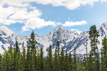 Stunning spring time landscape in northern Canada with magnificent snow capped mountains and boreal forest in the foreground. 