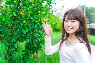 果物狩り・収穫